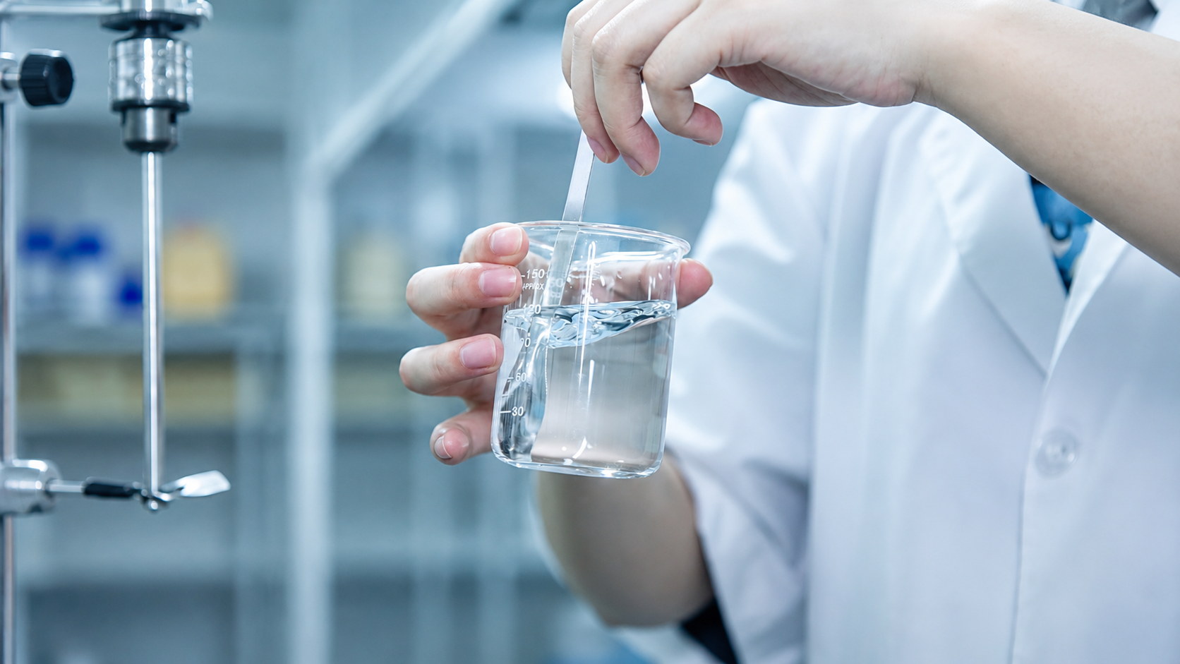 Sample review and product development